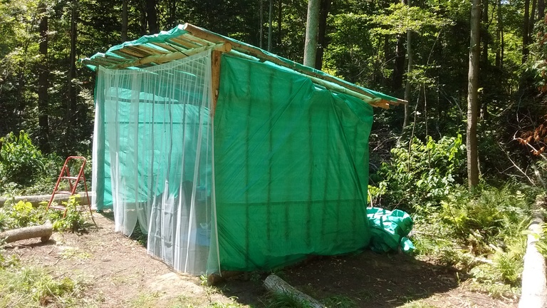 Shed structure covered with tarp.