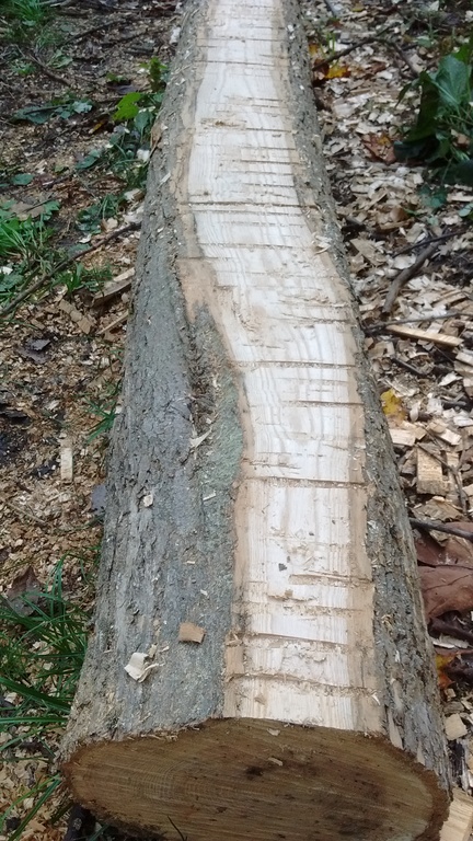 How to flatten a log.