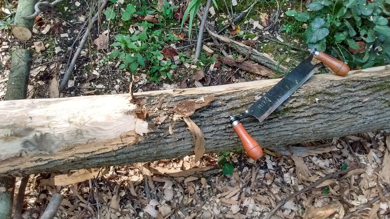 Drawknife was used to remove bark.