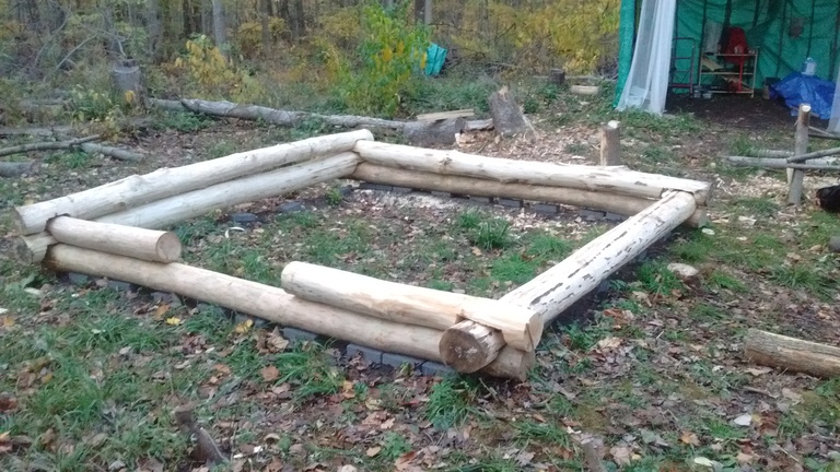 Cabin logs start to fit together.