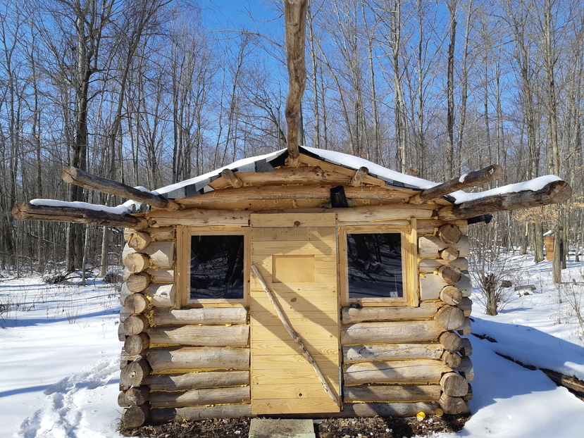 Finished cabin, front view, winter.